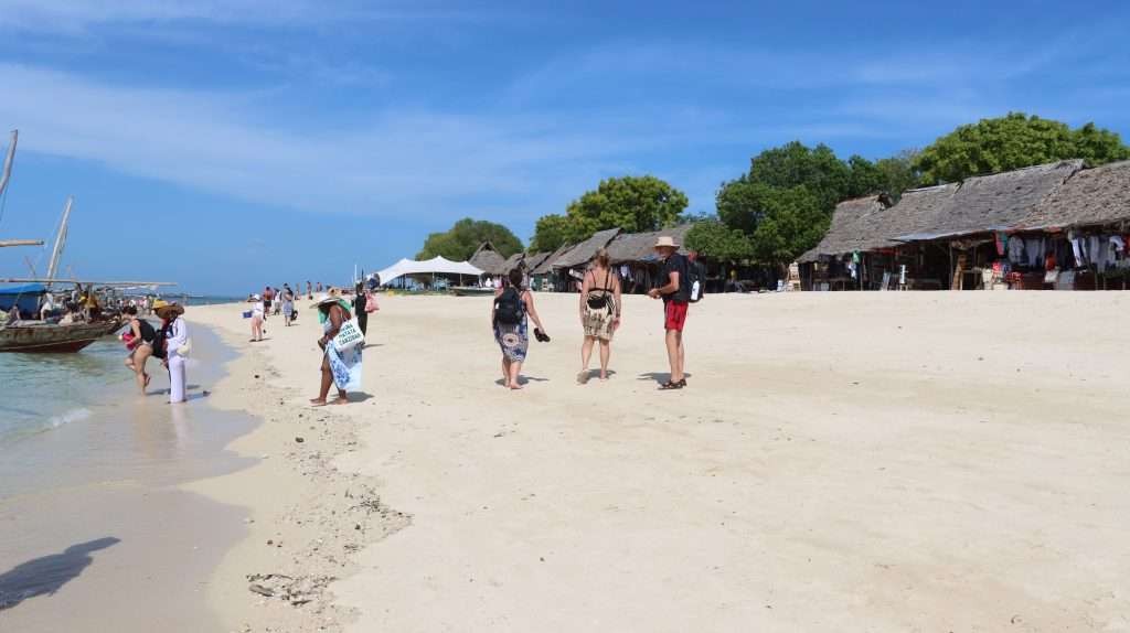 How to Plan the Perfect Honeymoon Safari Adventure