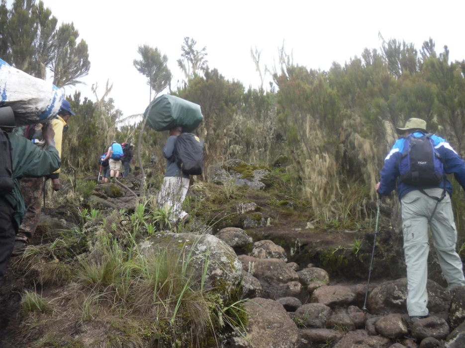 Our Guests Climbing Mount Kilimanjaro