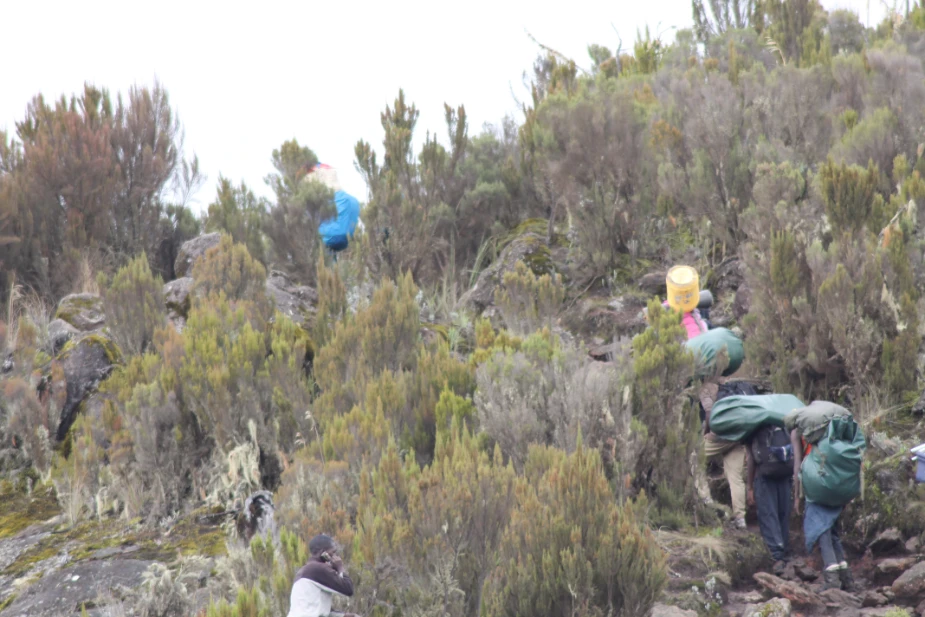 Our Guests Climbing Mount Kilimanjaro during our Guided Tours