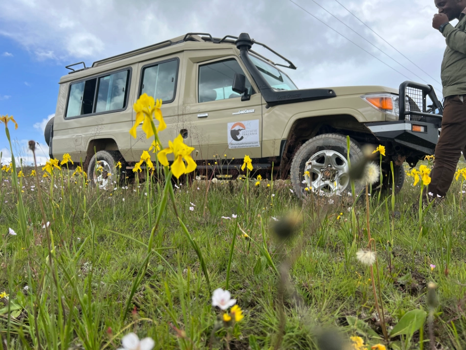 Tourists exploring Nature Tour Tours in a Map