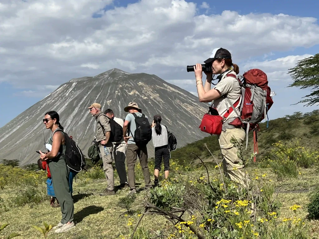 Safest African Countries to Visit for an Unforgettable Safari